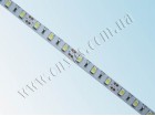 LED лента 5630/60 негерметичная (IP33) standart